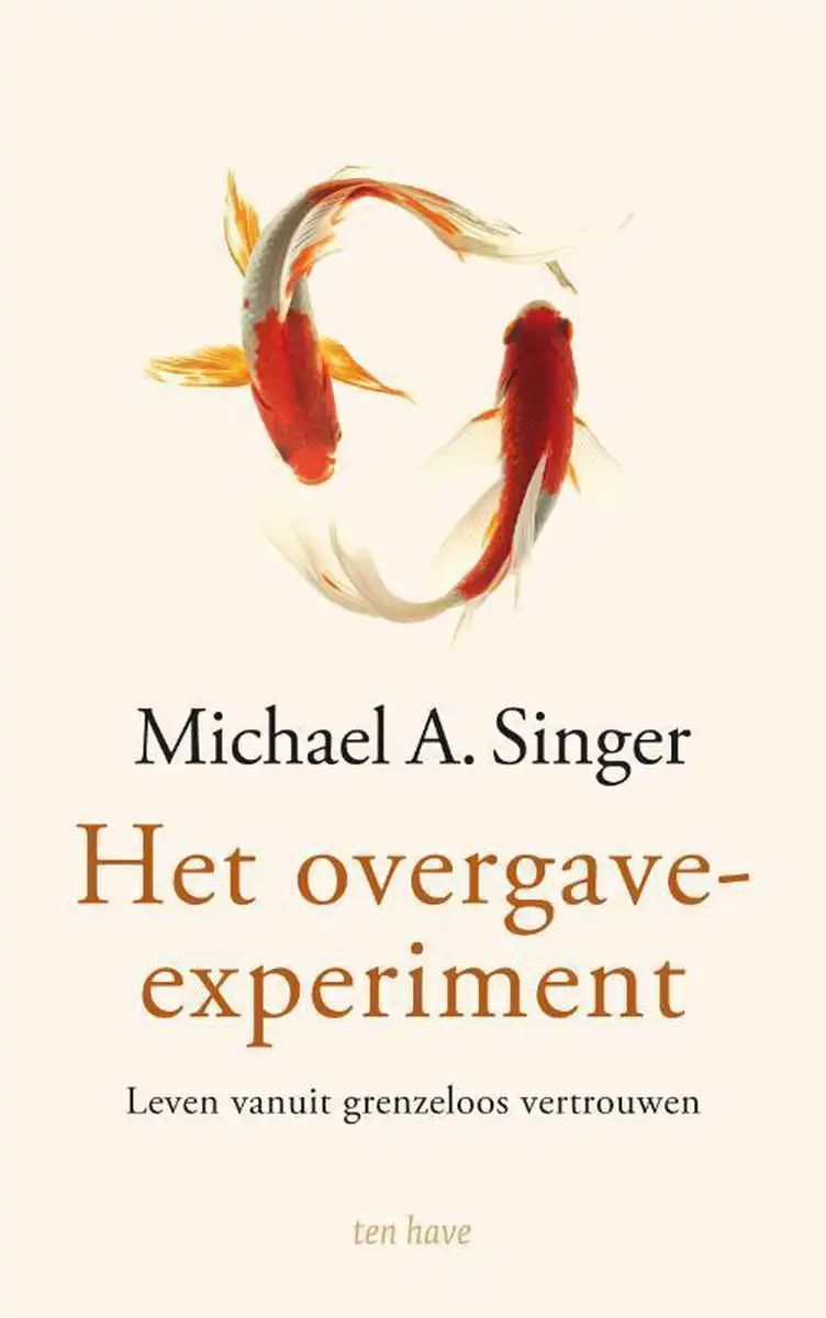 Michael A Singer - Het overgave-experiment