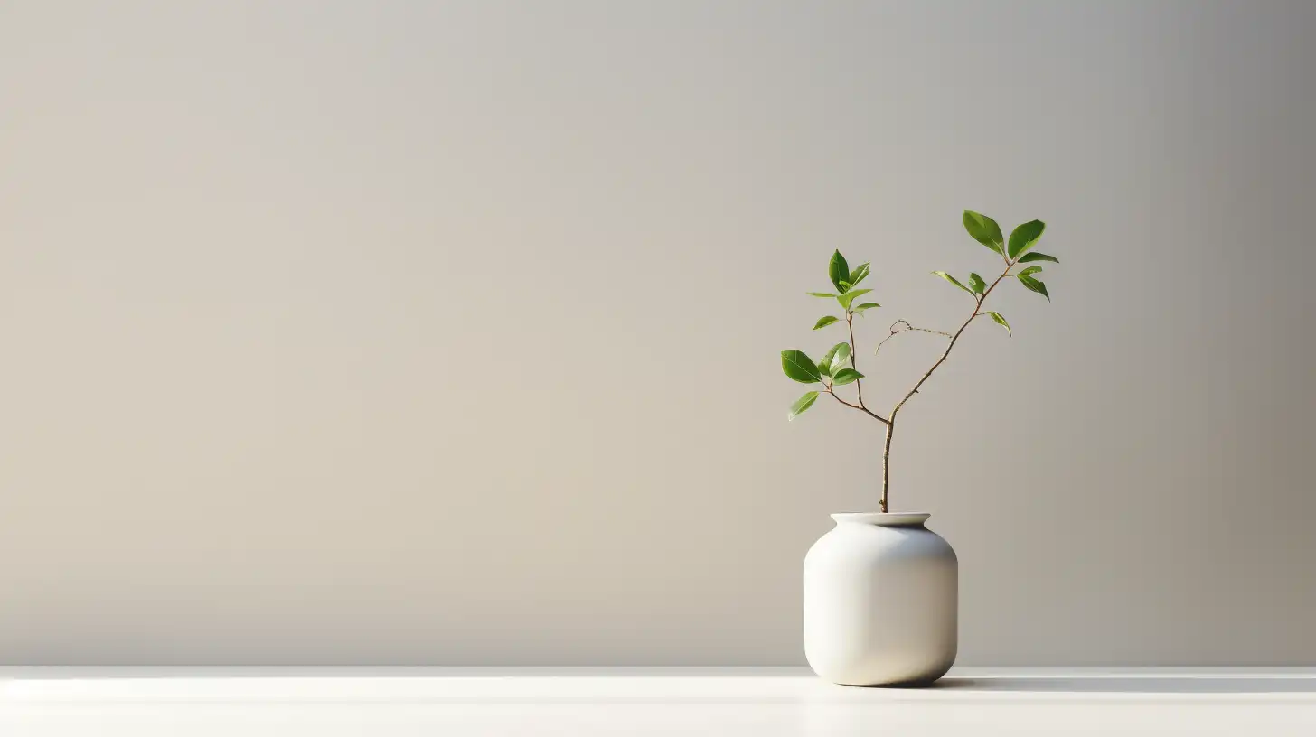 Minimalisme en groei